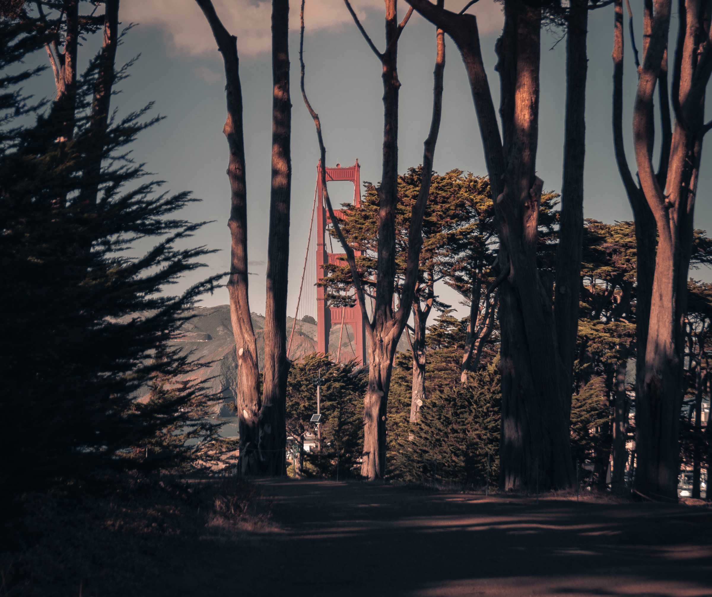 Through the Presidio