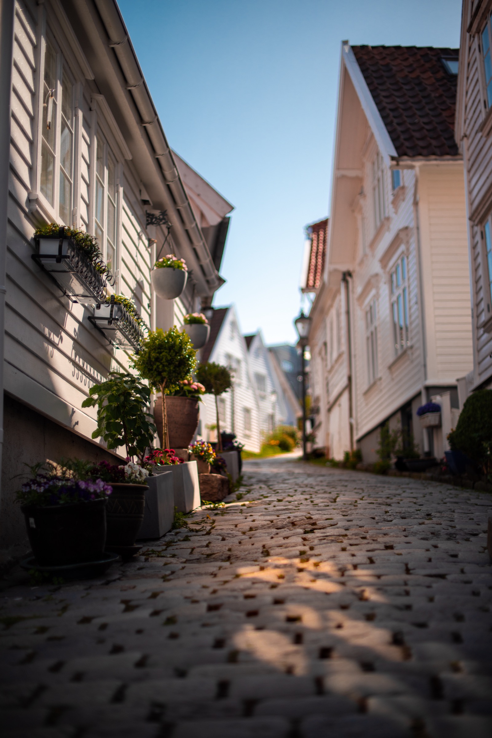 Cobblestone Alley